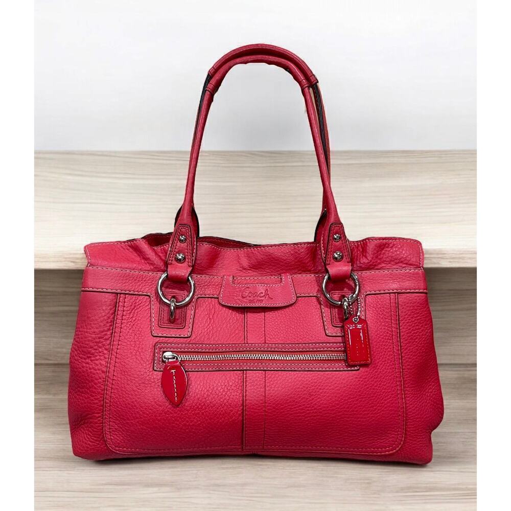 Y2K Coach 13160 Penelope Pebble Leather Satchel Bag